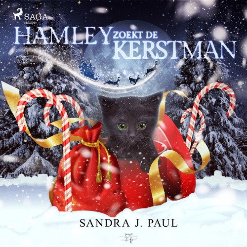 Couverture audiobook de Hamley zoekt de kerstman, de Sandra J. Paul