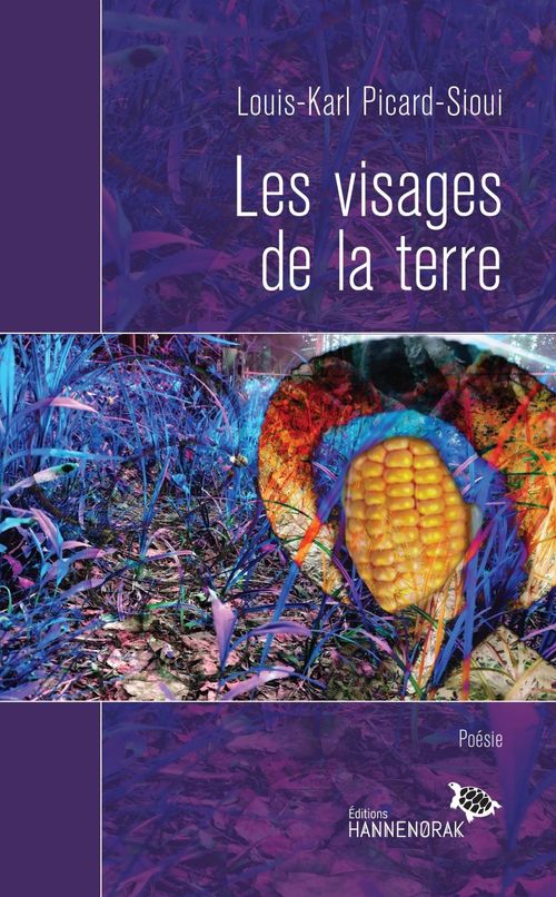 ebook cover of Les visages de la terre, by Picard-Sioui Louis-K
