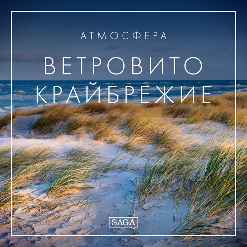 audiobook cover of -, by Rasmus Broe