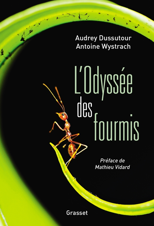 Couverture ebook de L'Odyssée des fourmis, de Audrey Dussutour, Antoine Wystrach