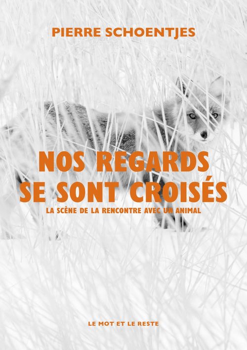 ebook cover of Nos regards se sont croisés, by Pierre SCHOENTJES