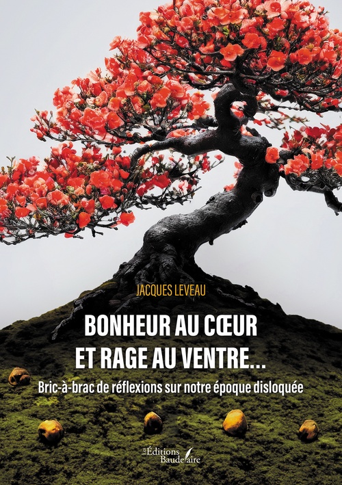 Couverture ebook de Bonheur au coeur et rage au ventre..., de Jacques Leveau
