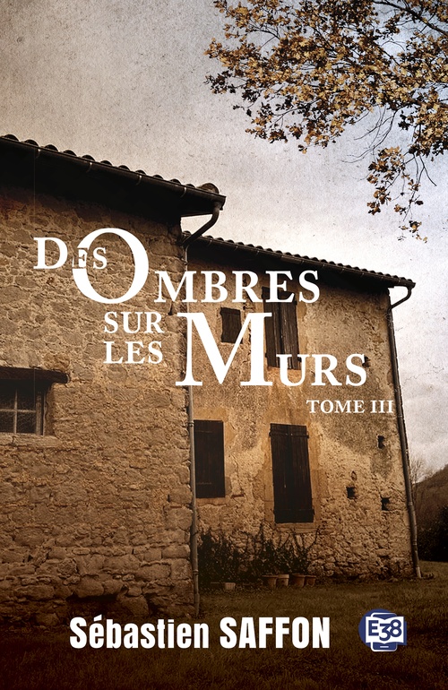 ebook cover of Des ombres sur les murs, by Sébastien Saffon