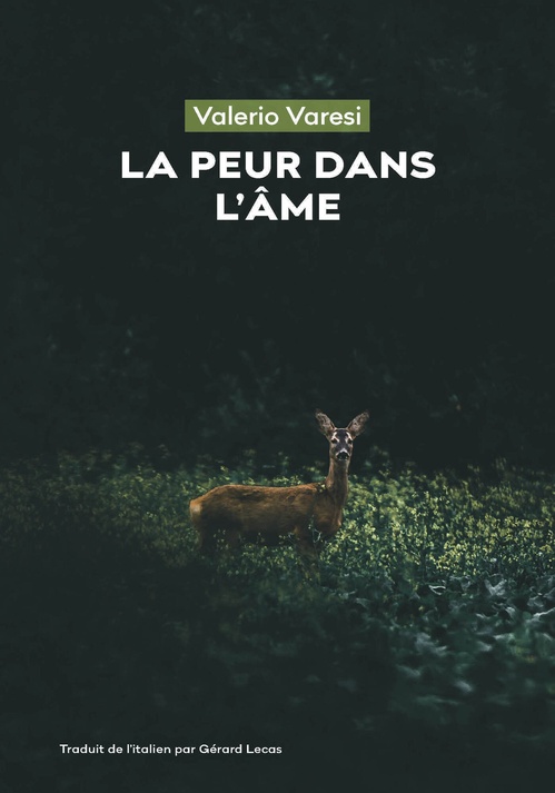 ebook cover of La Peur dans l'âme, by Valerio Varesi