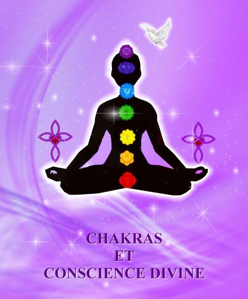 ebook cover of CHAKRAS ET CONSCIENCE DIVINE, by Martine  Plouvier-Vivien