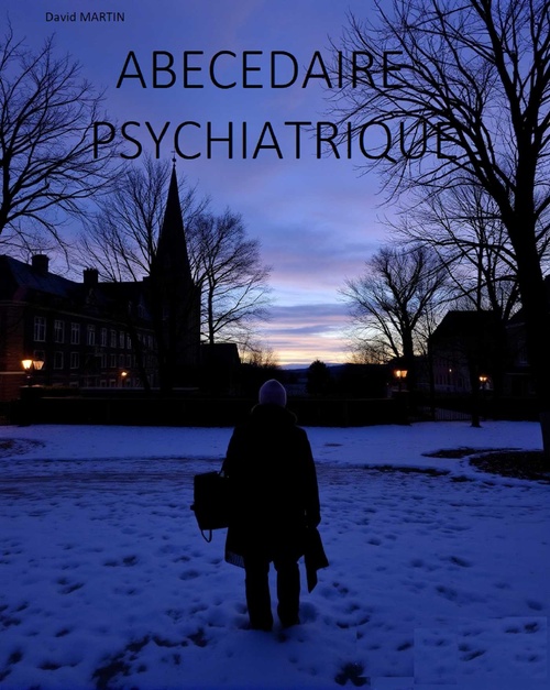 ebook cover of Abécédaire psychiatrique, by David Martin