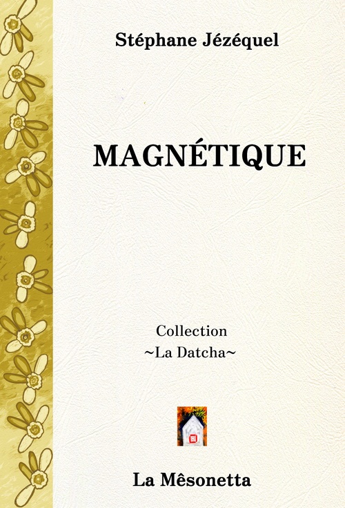 Couverture ebook de Magnétique, de Stéphane Jézéquel