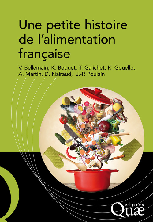 ebook cover of Une petite histoire de l'alimentation française, by Ambroise Martin, Daniel Nairaud, Jean-Pierre Poulain, Karine Boquet, Katell Gouello, Theo Galichet, Veronique Bellemain