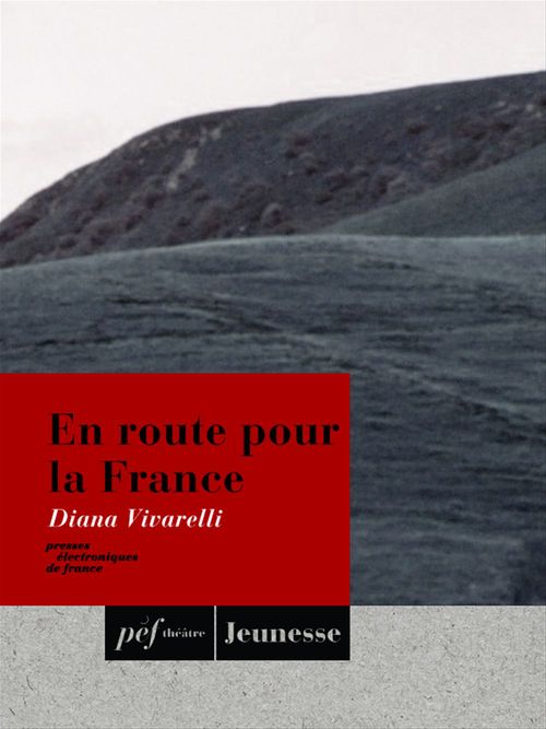 Couverture ebook de En route pour la France, de Diana Vivarelli