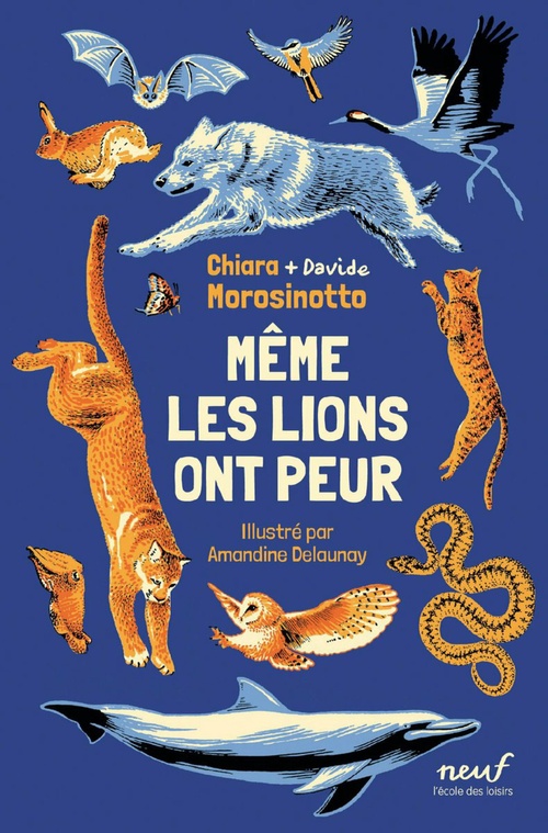 ebook cover of Même les lions ont peur, by Chiara Morosinotto, Davide Morosinotto, Amandine Delaunay