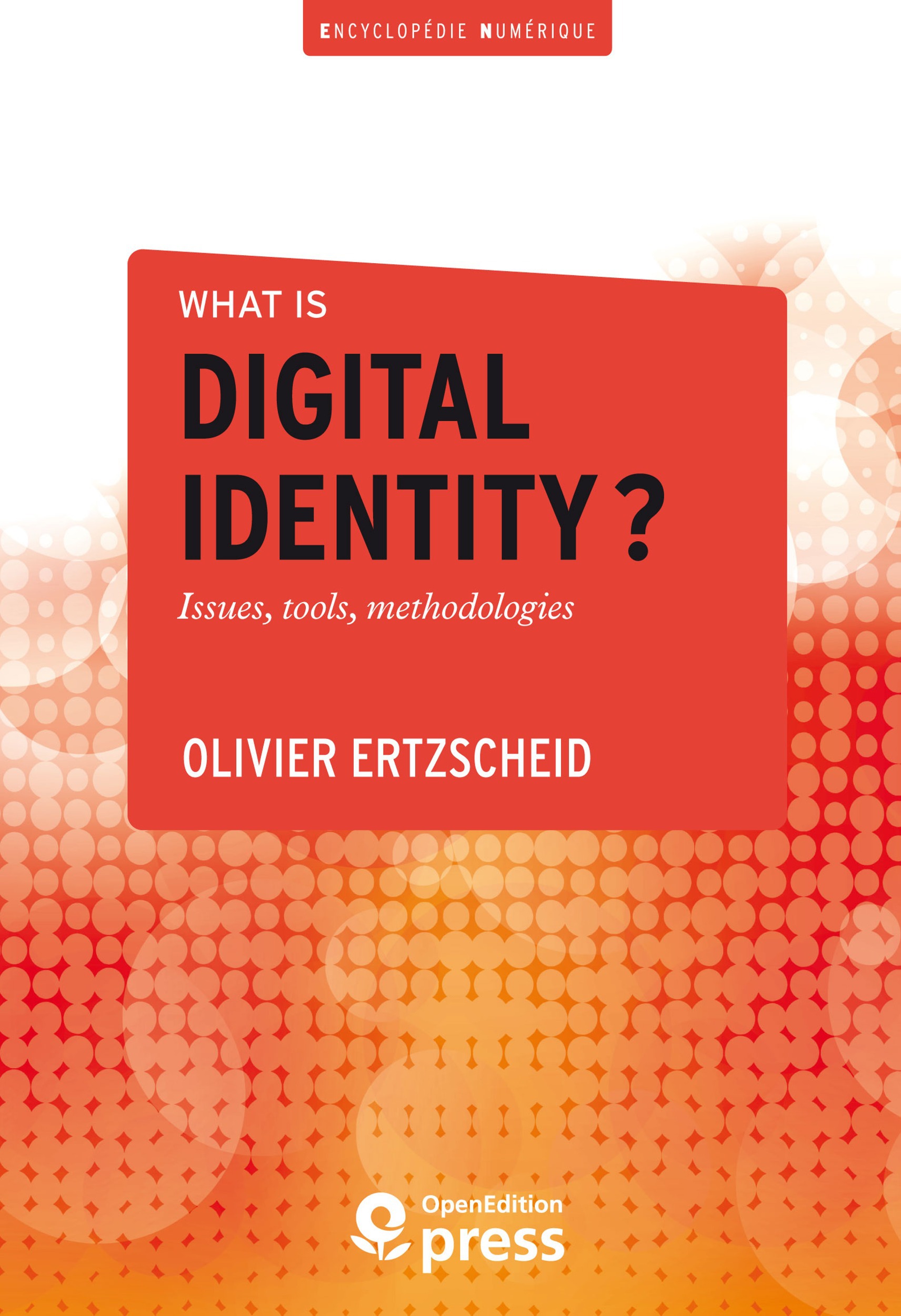 ebook cover of What is digital identity?, by Olivier Ertzscheid
