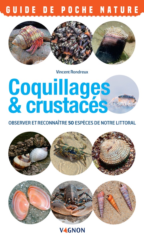 ebook cover of Coquillages & crustacés du bord de mer, by Vincent Rondreux