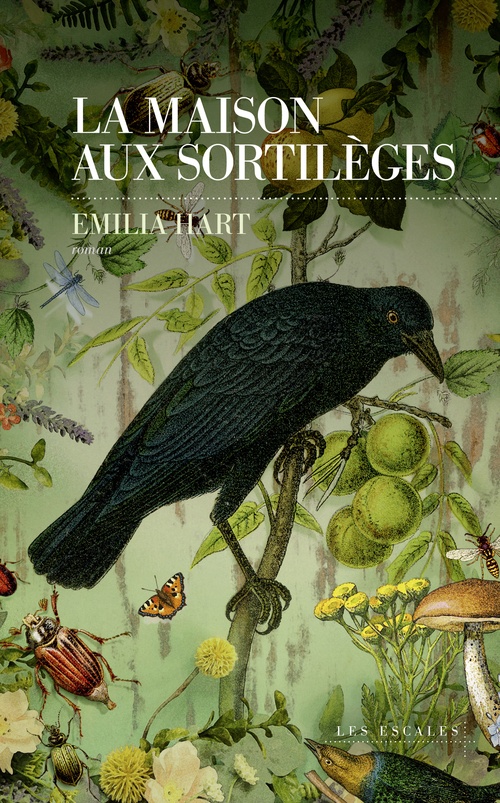 ebook cover of La maison aux sortilèges, by Emilia Hart