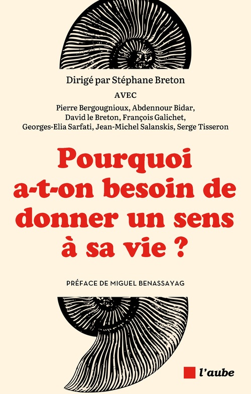 ebook cover of Pourquoi a-t-on besoin de donner un sens à sa vie ?, by Stéphane Breton