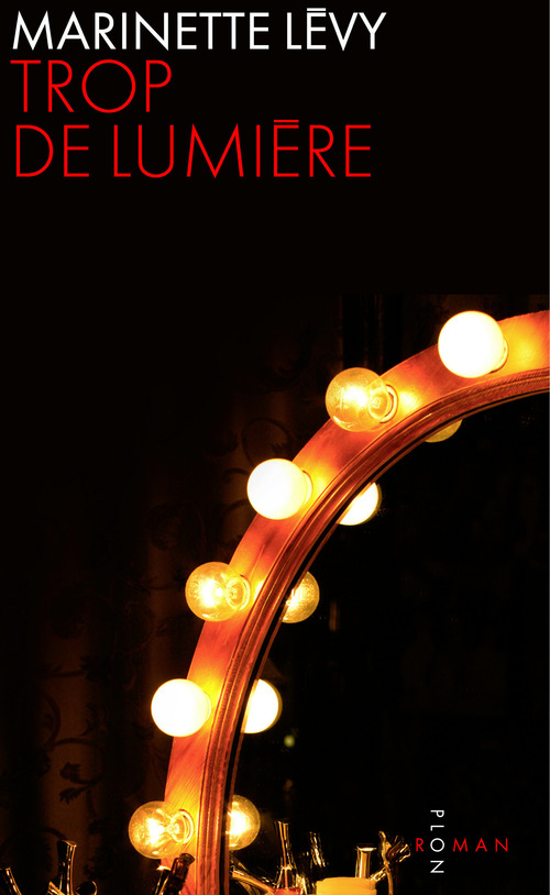 Couverture ebook de Trop de lumière, de Marinette Lévy