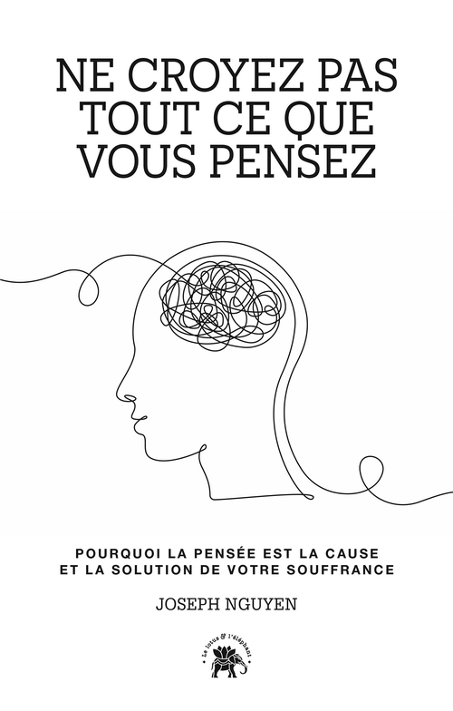 ebook cover of Ne croyez pas tout ce que vous pensez, by Joseph Nguyen