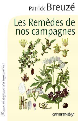 ebook cover of Les Remèdes de nos campagnes, by Patrick Breuzé