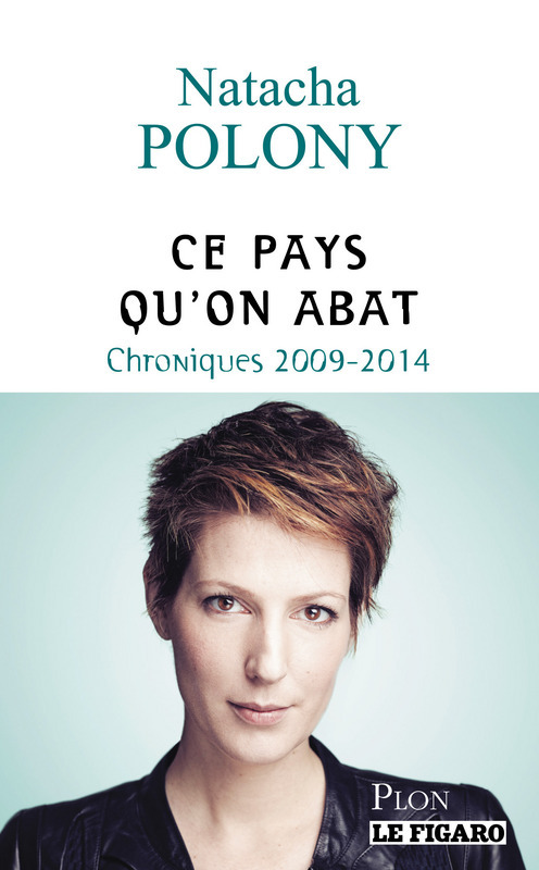 ebook cover of Ce pays qu'on abat, by Natacha Polony