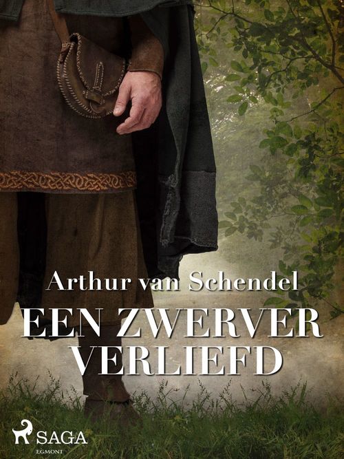 ebook cover of Een zwerver verliefd, by Arthur  Van Schendel