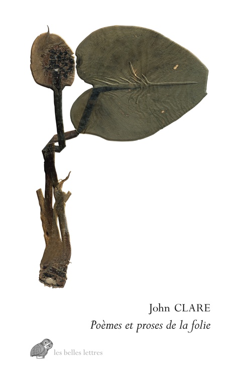 ebook cover of Poèmes et proses de la folie, by John Clare