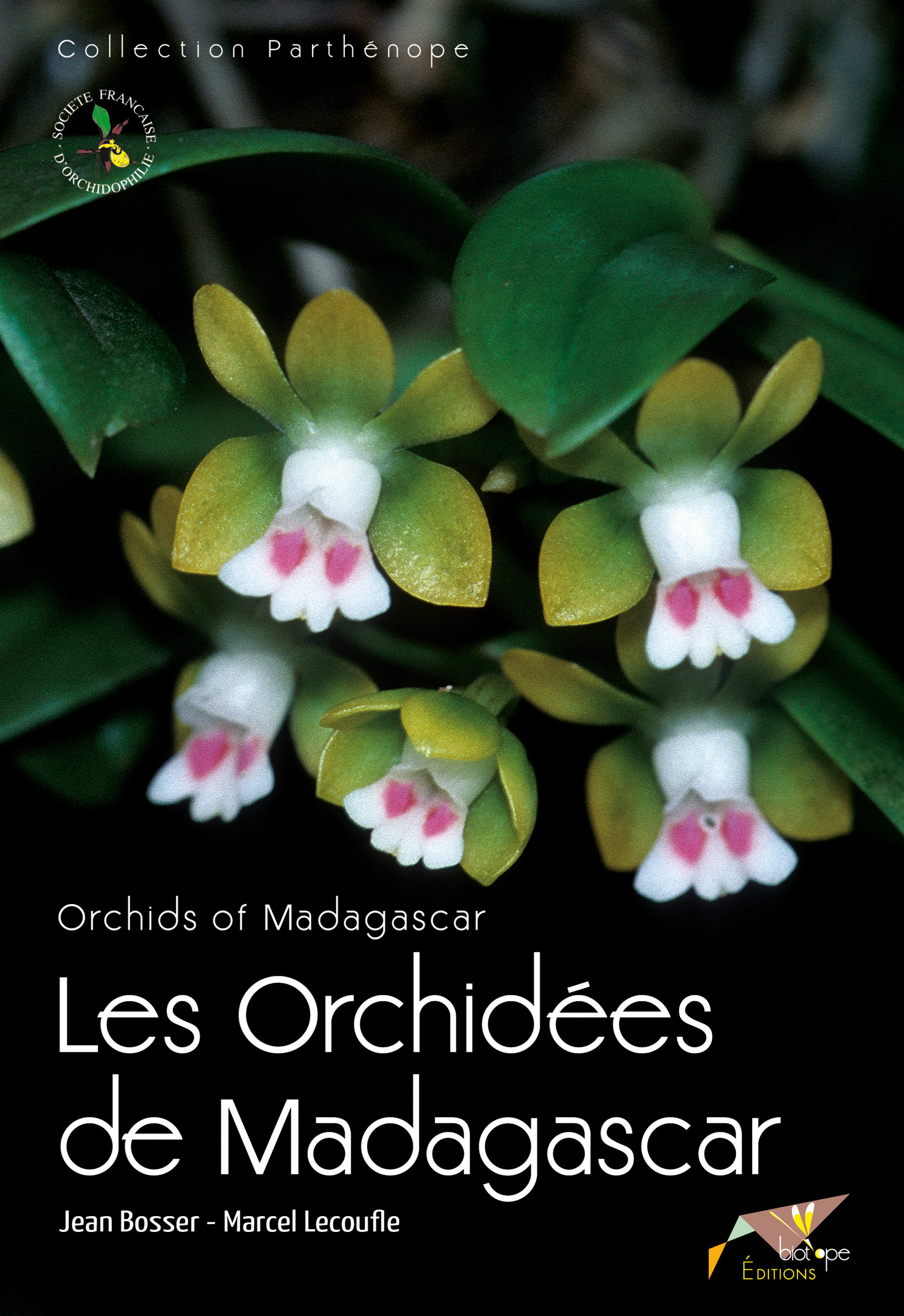 Couverture ebook de Les Orchidées de Madagascar, de Jean Bosser, Marcel Lecoufle