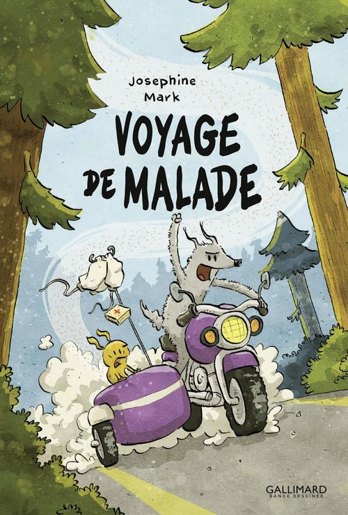 ebook cover of Voyage de malade, by Joséphine Mark
