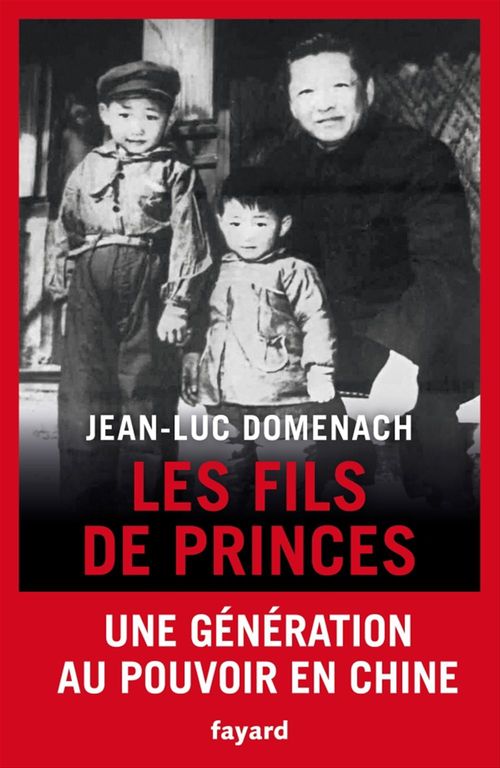 ebook cover of Les fils de princes, by Jean-Luc Domenach