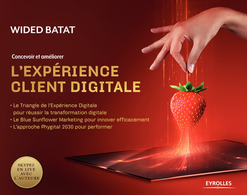 ebook cover of Concevoir et améliorer l'expérience client digitale, by Wided Batat