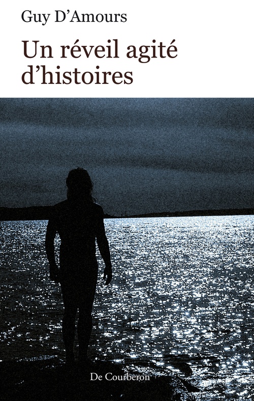 ebook cover of Un réveil agité d'histoires, by Guy d' Amours