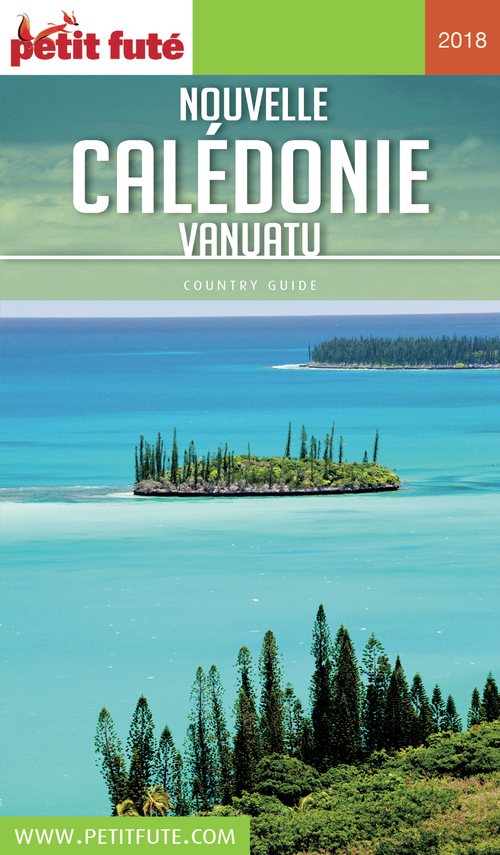 ebook cover of NOUVELLE CALÉDONIE 2018 Petit Futé, by Collectif petit futé