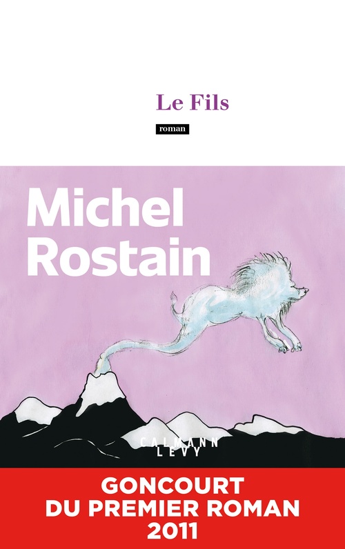 ebook cover of Le Fils, by Michel Rostain