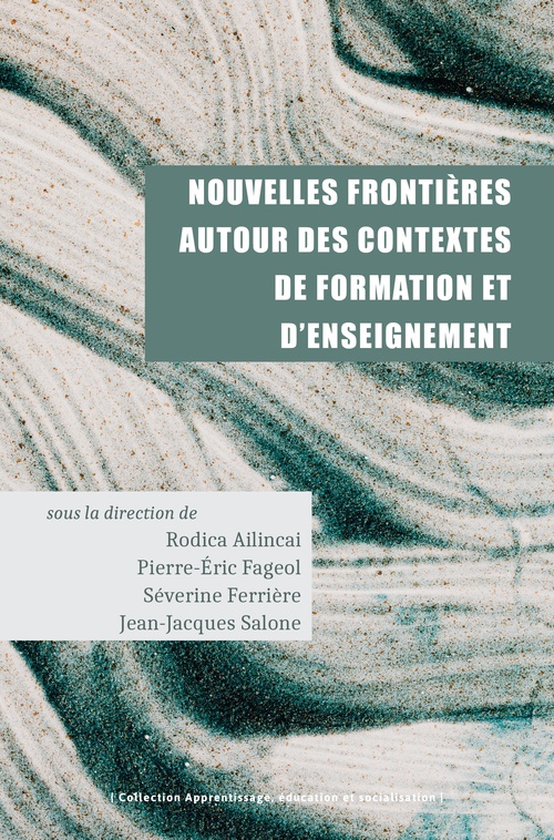 ebook cover of Nouvelles frontières autour des contextes de formation et d´enseignement, by Rodica Ailincai