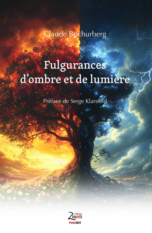 ebook cover of Fulgurances d'ombre et de lumière, by Claude Bochurberg