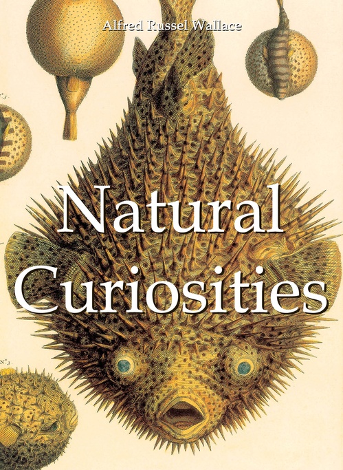 Couverture ebook de Natural Curiosities, de Alfred Wallace Wallace