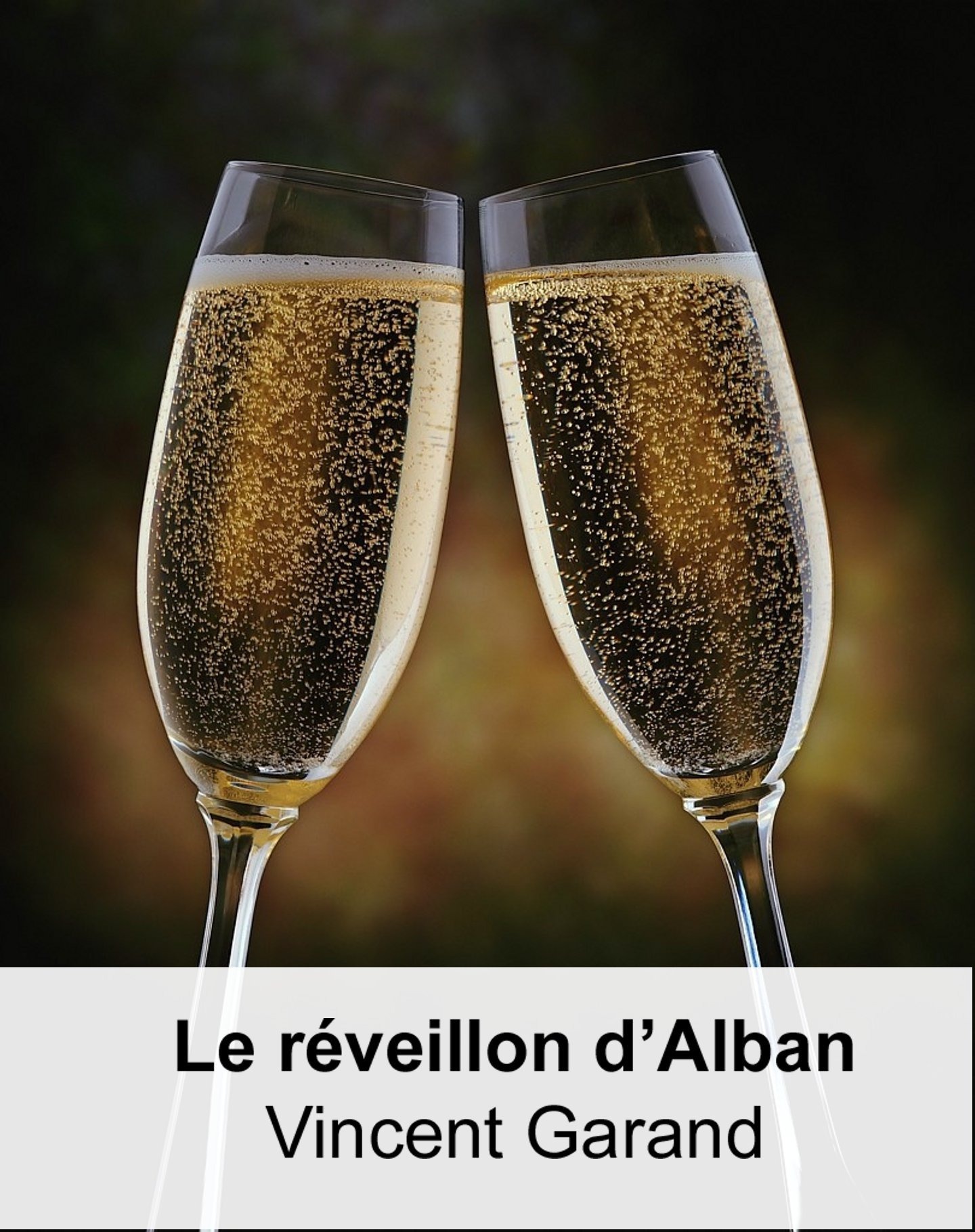 ebook cover of Le réveillon d'Alban, by Vincent Garand