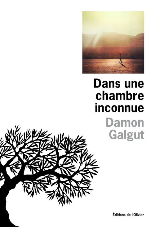 Couverture ebook de Dans une chambre inconnue, de Damon Galgut