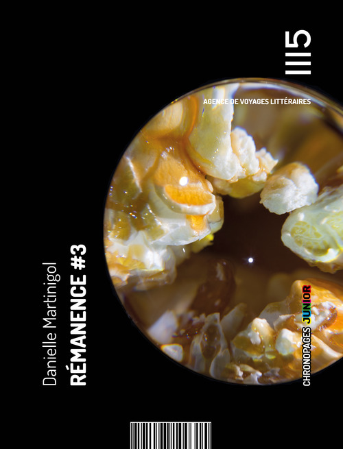 ebook cover of Rémanence #3, by Danielle Martinigol