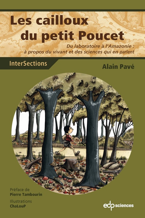 Couverture ebook de Les cailloux du petit poucet, de Alain Pavé