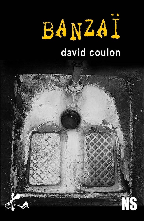 Couverture ebook de Banzaï, de David Coulon