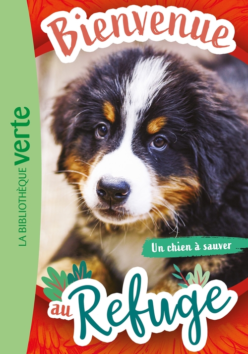 Couverture ebook de Bienvenue au refuge 02 - Un chien à sauver, de Pascal Ruter