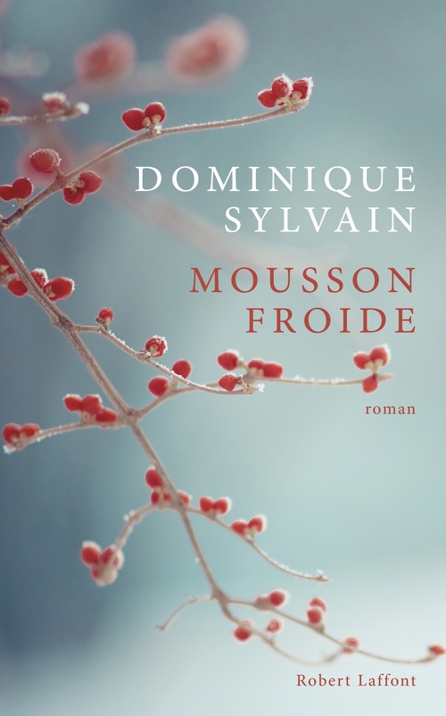 Couverture ebook de Mousson Froide, de Dominique Sylvain