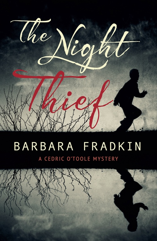 Couverture ebook de The Night Thief, de Barbara Fradkin