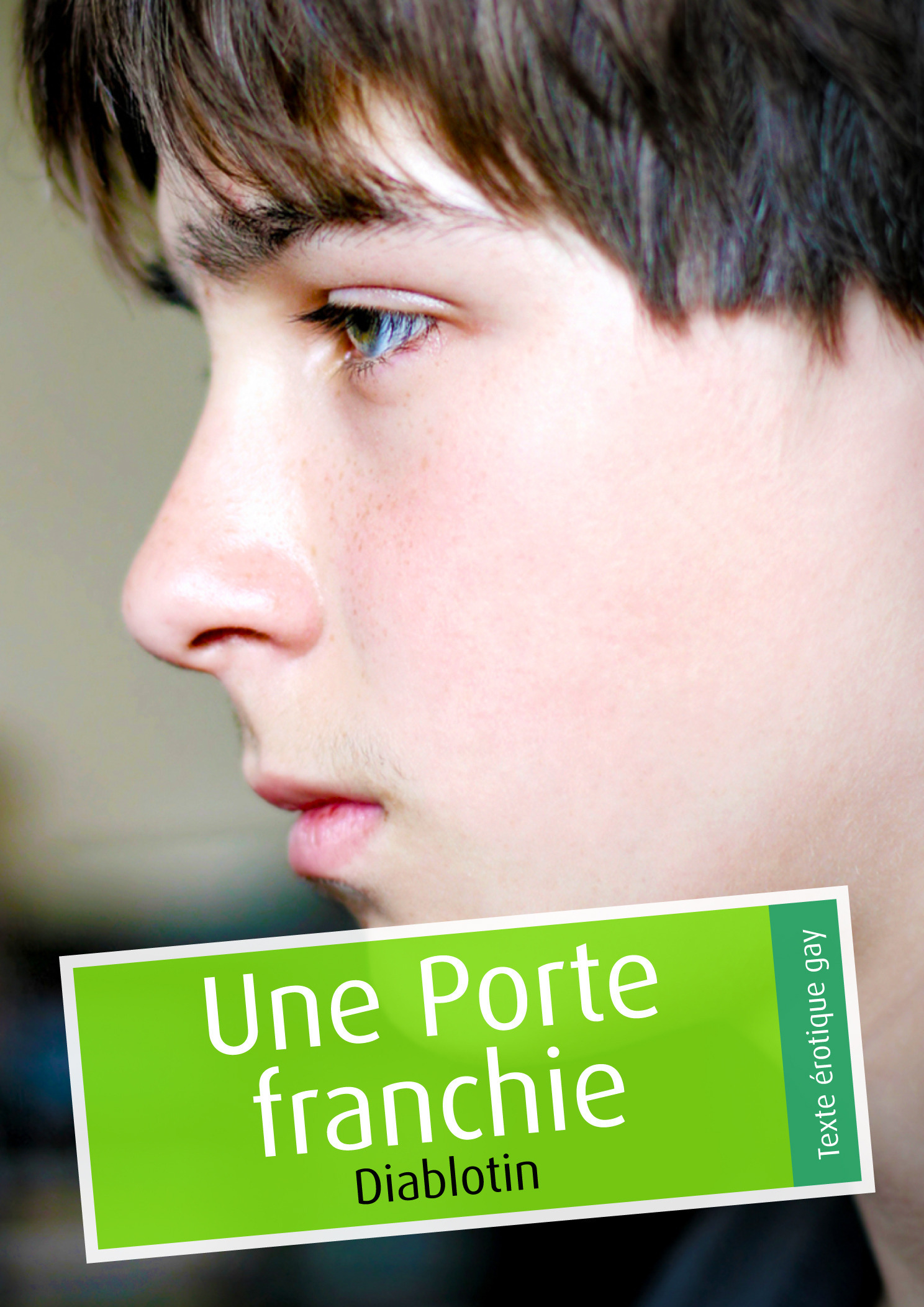 ebook cover of Une porte franchie (pulp gay), by Diablotin