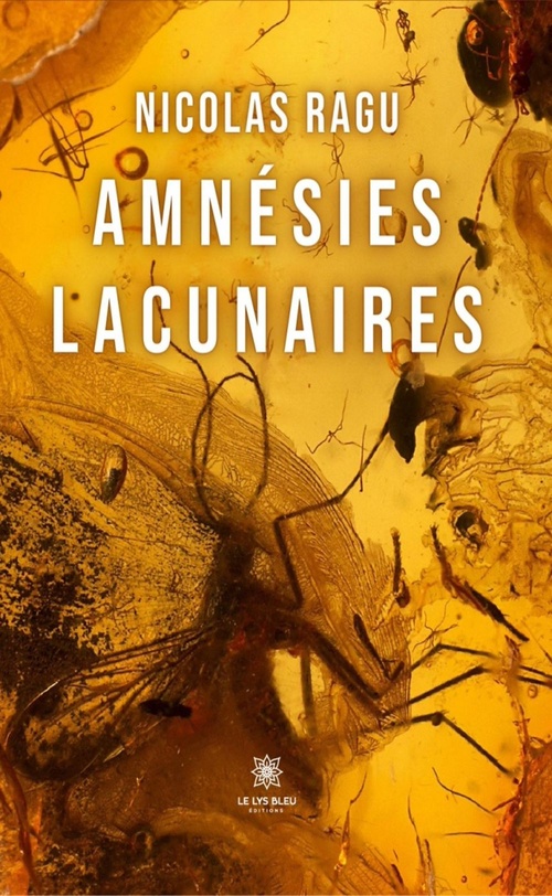 Couverture ebook de Amnésies lacunaires, de Nicolas Ragu