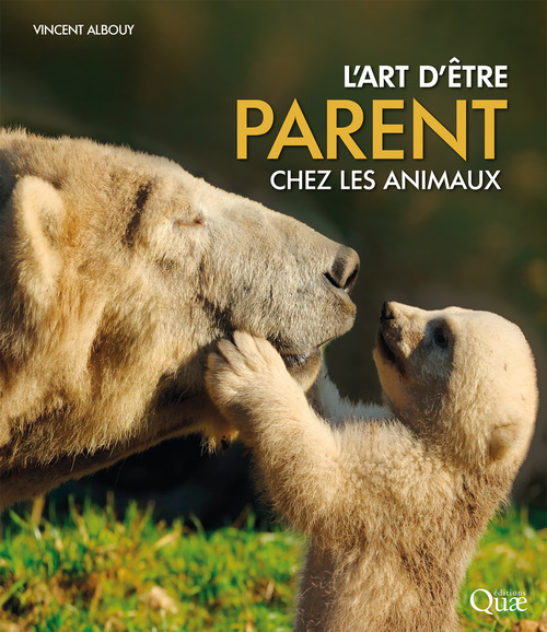 Couverture ebook de L'art d'être parent chez les animaux, de Vincent Albouy