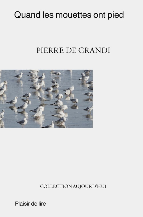 ebook cover of Quand les mouettes ont pied, by Pierre De Grandi