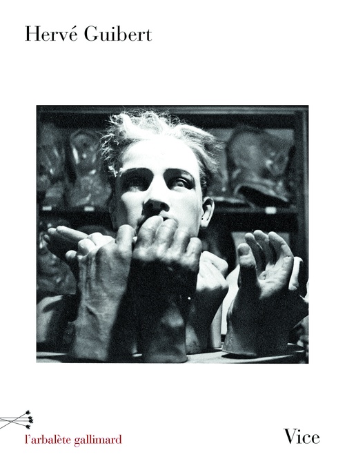 Couverture ebook de Vice, de Hervé Guibert