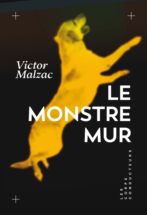 Couverture ebook de Le monstre mur, de Victor Malzac