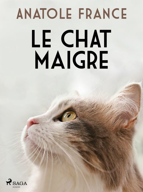 ebook cover of Le Chat maigre, by Anatole France