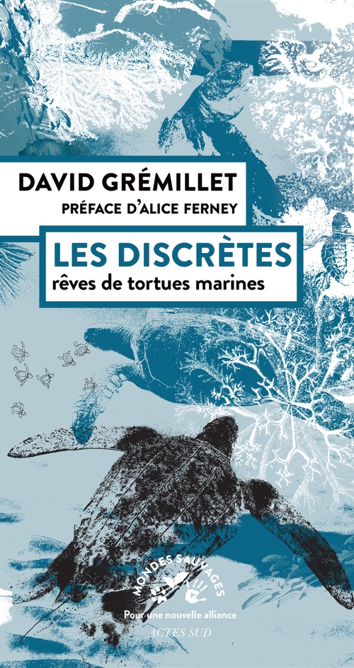 Couverture ebook de Les discrètes, de David Gremillet, Bénédicte Martin
